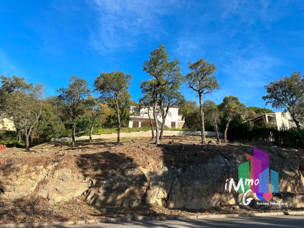 1000 m2
